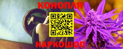 эйфоретик Гай