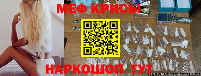 эйфоретик Гай