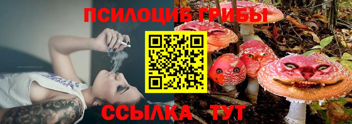 Снежинск  Псилоцибиновые грибы GOLDEN TEACHER  Галлюциногенные грибы GOLDEN TEACHER  Вход с VPN 